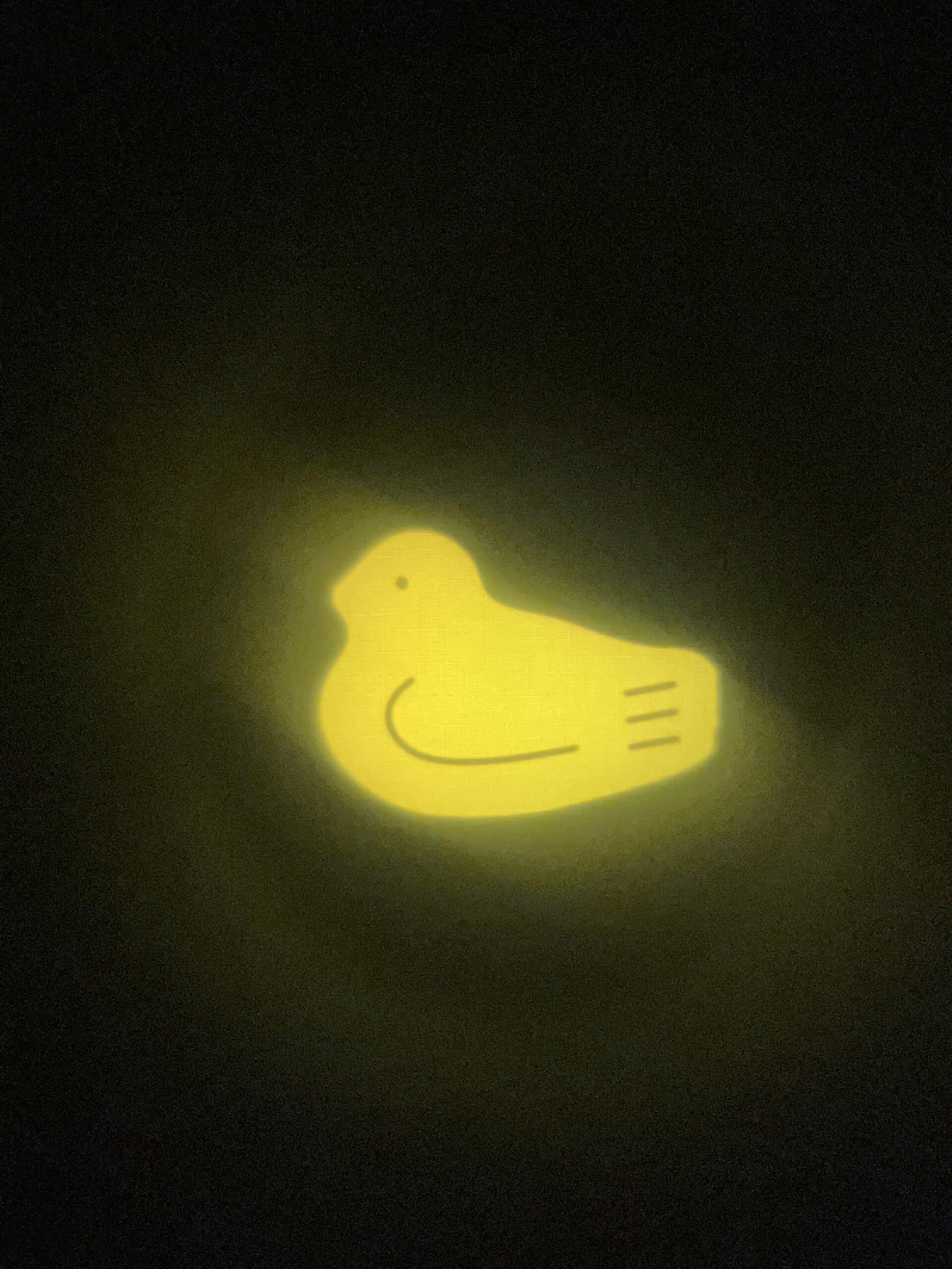 鳩ビームが照らすもの