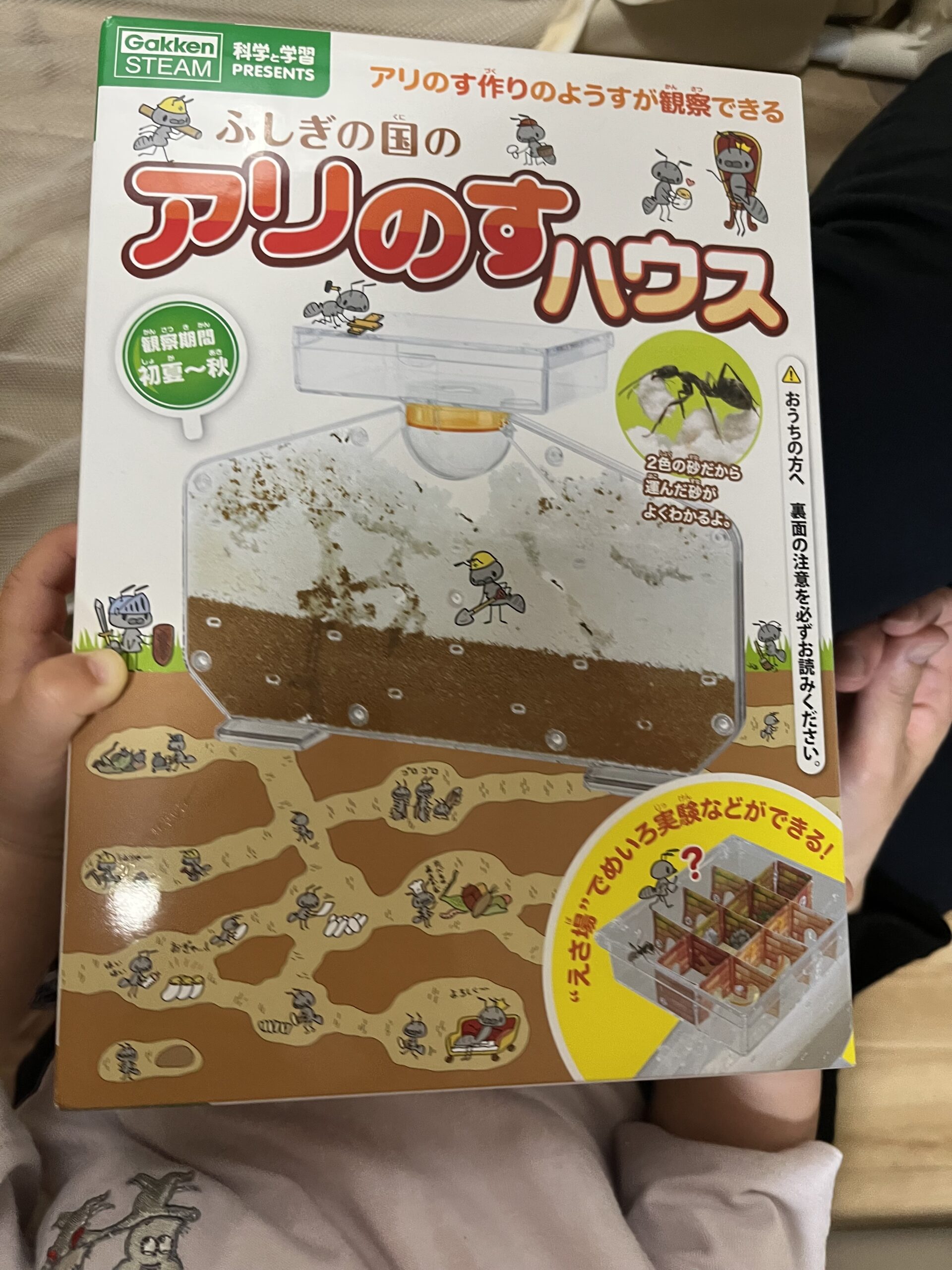 不思議の国のアリノス